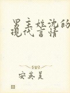 男主姓沈的小说现代言情