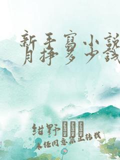 新手写小说一个月挣多少钱