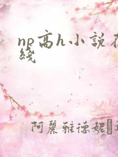 np高h小说在线