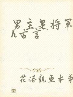 男主是将军的高h古言