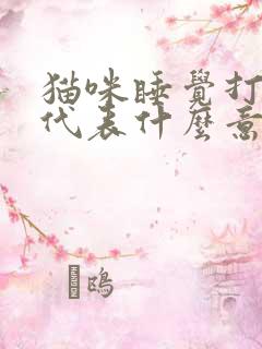 猫咪睡觉打呼噜代表什么意思