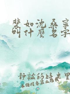裴如沈桑宁小说叫什么名字