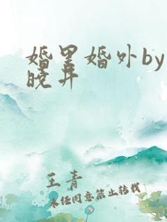 婚里婚外by叶晓井
