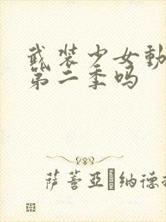 武装少女动漫有第二季吗