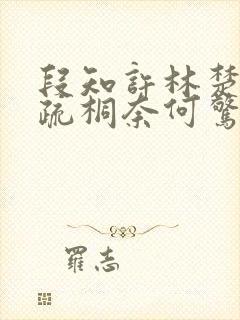 段知许林楚楚江疏桐奈何惊鸿入我心