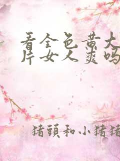看全色黄大色大片女人爽吗