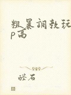 粗暴调教玩弄np高