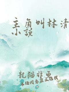 主角叫林清雪的小说