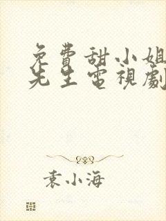 免费甜小姐与冷先生电视剧在线观看
