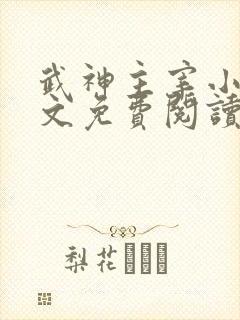 武神主宰小说全文免费阅读