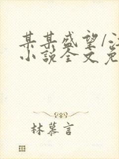 某某盛望/江添小说全文免费阅读下载