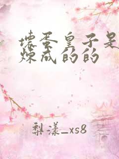 坏蛋皇子是怎样炼成的的