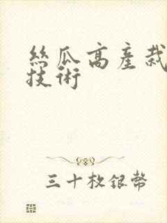 丝瓜高产栽培新技术