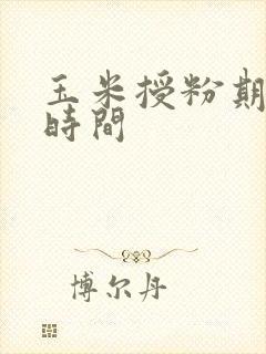 玉米授粉期多长时间