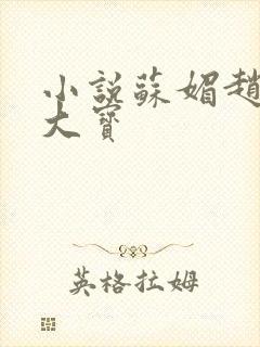 小说苏媚赵勇赵大宝