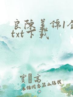良陈美锦1全文txt下载