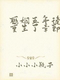 联姻五年后,她重生了章节
