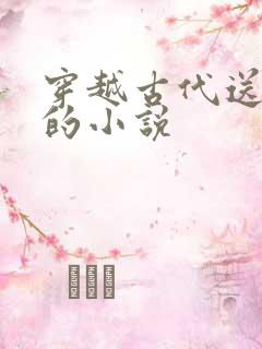 穿越古代送老婆的小说