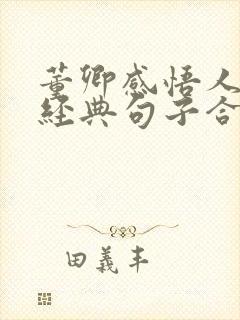 董卿感悟人生的经典句子合集