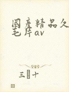 国产精品久久久毛片av