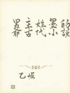 男主姓墨的是王爷古代小说