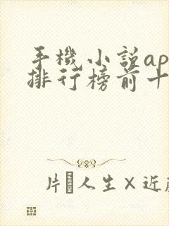 手机小说app排行榜前十名