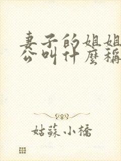 妻子的姐姐的老公叫什么称谓