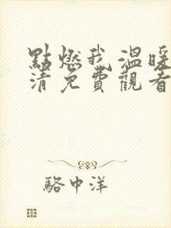 点燃我温暖你高清免费观看完整版