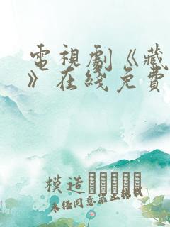 电视剧《藏海传》在线免费