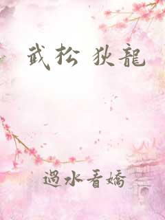 武松 狄龙