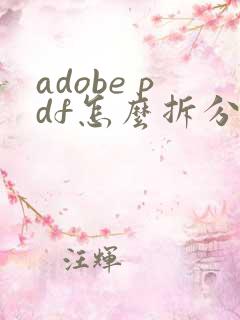 adobe pdf怎么拆分成一页一页的