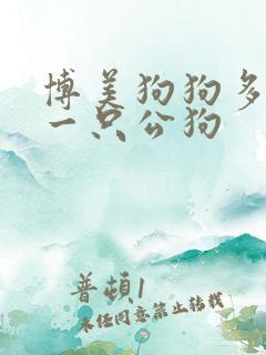 博美狗狗多少钱一只公狗