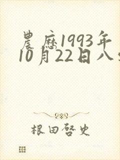 农历1993年10月22日八字怎样