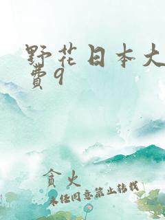 野花日本大全免费9