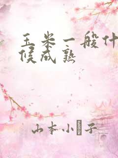 玉米一般什么时候成熟