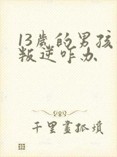 13岁的男孩子叛逆咋办