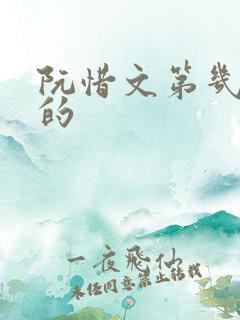 阮惜文第几集死的