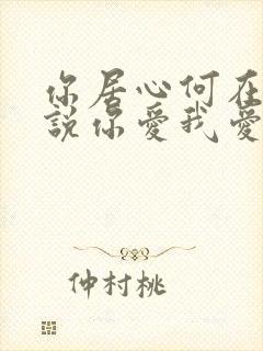 你居心何在 你说你爱我爱我是什么歌