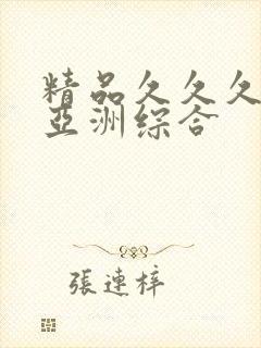 精品久久久久久亚洲综合