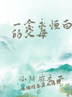 一念永恒白小纯的父母