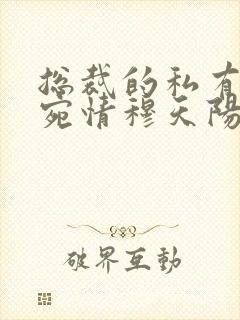 总裁的私有宝贝宛情穆天阳的小说