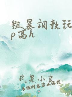 粗暴调教玩弄np高h
