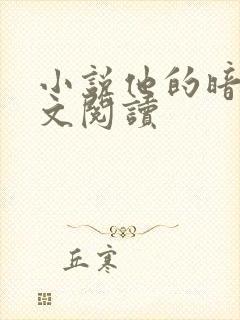 小说他的暗卫全文阅读