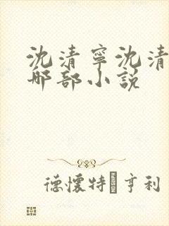 沈清宁沈清壁是哪部小说