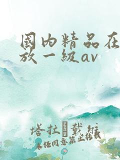 国内精品在线播放一级av
