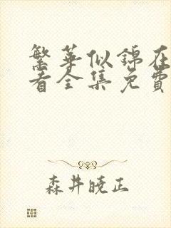 繁华似锦在线观看全集免费15集