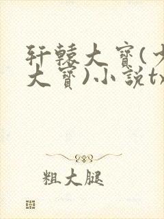 轩辕大宝(少年大宝)小说txt