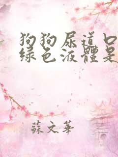 狗狗尿道口有黄绿色液体是怎么回事