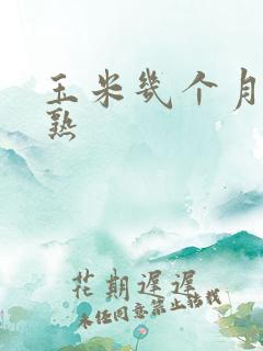 玉米几个月能成熟
