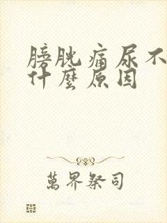 膀胱痛尿不出来什么原因